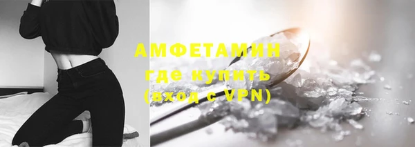 спайс Гвардейск