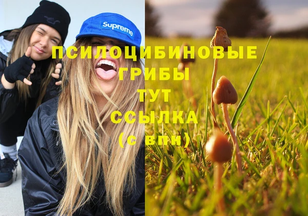 apvp Саяногорск