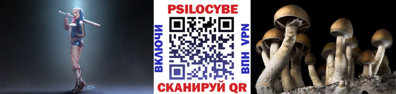 Псилоцибиновые грибы GOLDEN TEACHER  дарнет шоп  Галич 